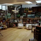 La librairie-galerie Antinoë