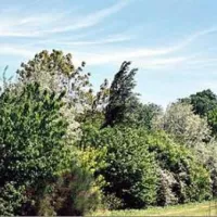 Jardin des Gazelles
