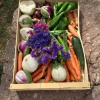 La terre en partage