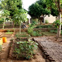 CCFD Terre Solidaire - Agro-écologie au Mali