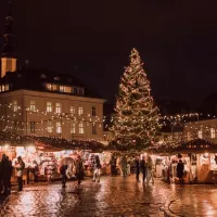 2020-Unsplash. "Economiser les 60.000 € que coute un arbre de Noël pour les investir dans des animations de Noël et du soutien aux commerçants,ce n'est que du bon sens"