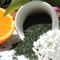Spiruline du Berry