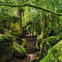 La Dépêche du Midi