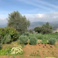 RCF / Véronique Alzieu - Permaculture à la ferme pédagogique en agriculture biologique Kissane