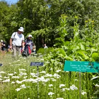 2020 Conservatoire botanique national de Bailleul, Jardin des plantes sauvages