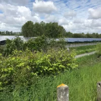 2021 RCF - Les 58 000 panneaux de la centrale solaire d'Oxelaere