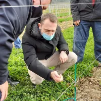 2021 - RCF Jura - Le préfet du Jura David Philot a fait le point avec les viticulteurs sur les dégâts causés par la vague de froid dans les vignes
