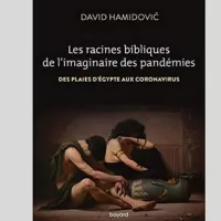 Couverture : Les racines bibliques de l'imaginaire des pandémies  de David Hamidovic