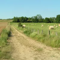 Le Mont Olivet dans le Revermont