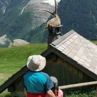 Au parc de Merlet