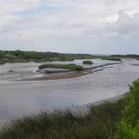 Le domaine de Certes-Graveyron, "espace naturel sensible", au coeur du bassin d'Arcachon