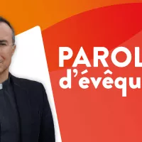 Mgr Vuillemin