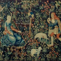 2021 Philippe Sebert - Musée de Lodève : Exposition Tisser la nature