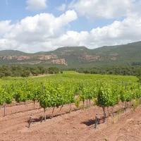 Château du Rouët - RCF Méditerranée