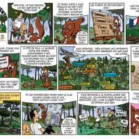 Planche de BD « La forêt méditerranéenne vue par un écureuil curieux » - ONF/CNPF, Cire Illustrateur.