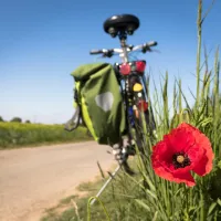 Vélo en bord de chemin ©Image par Thomas B. de Pixabay