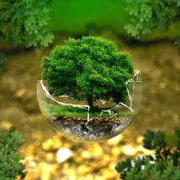 Pixabay