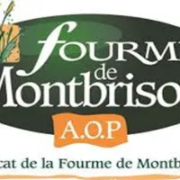ville-montbrison.fr