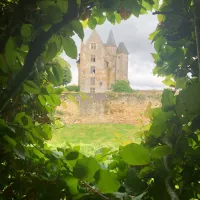 Vue du donjon depuis le tunnel de hêtres © RCF Sarthe (Auberi Maitrot)