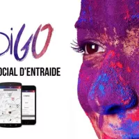 Indigo
