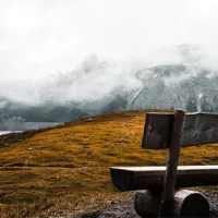 Andy Køgl / Unsplash