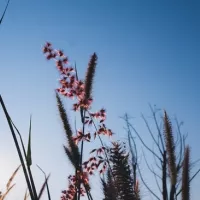 Photo by Gena Okami on Unsplash