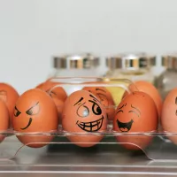 Oeufs en boîte ©Photo by Tengyart on Unsplash