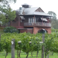 Chez Jean, le seul vigneron français de Hunter Valley