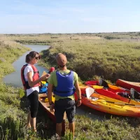 Balade en canoë sur l'île d'Oléron