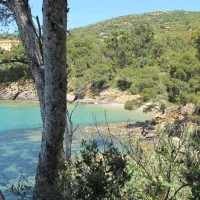Le domaine du Rayol
