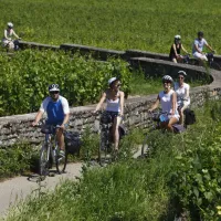 La voie des Vignes aux environs de Beaune