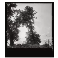 "Paysages avec tombes" ©éditions Calmejane