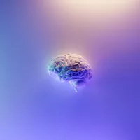 cerveau illustré - © Fakurian Design (Unsplash)