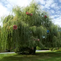 Festival international des jardins © Art et jardins Hauts-de-France