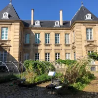 Dans « Paysans designers, l'agriculture en mouvement », au Madd de Bordeaux certains agriculteurs ont élaboré un jardin dans la cour du musée. Photo Clément Guerre