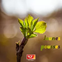 Jeunes pousses©1RCF Belgique