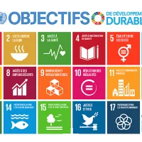 Les 17 obbjectifs du developpement durable ©onu