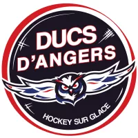 Logo ducs d'Angers