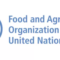 FAO © Nations Unies