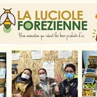 lalucioleforezienne.fr