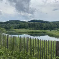 Le Marais de l'Etournel RCF