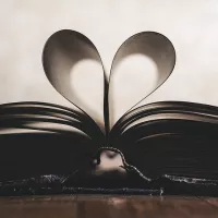 © Image d'illustration - Pixabay.com