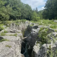 Pertes de la Valserine RCF