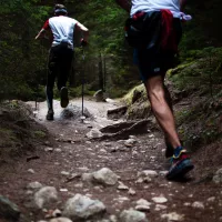 Unsplash / L'Ultra Trail du Vercors fête samedi son dixième anniversaire