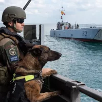© Marine nationale - Facebook