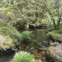 Forêt de Huelgoat ©RCF Sud Bretagne