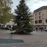 Un sapin de 12 mètres de haut à Châteauroux ! © RCF- Hugo Sastre.