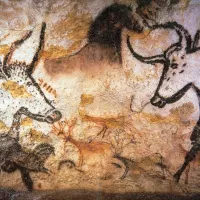 Aurochs représentés dans la grotte de Lascaux ©Wikimédia commons