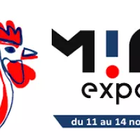 Le made in france tiens salon en novembre