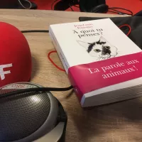 A quoi tu penses? de Jean-Louis Fournier